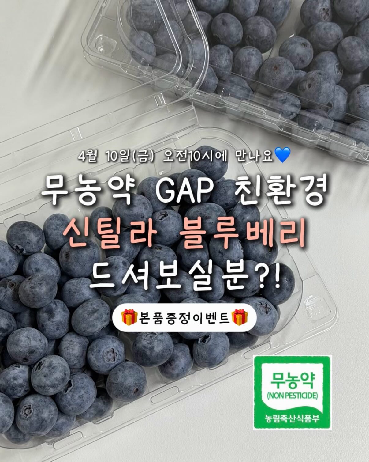 무농약 프리미엄 신틸라 블루베리 공구