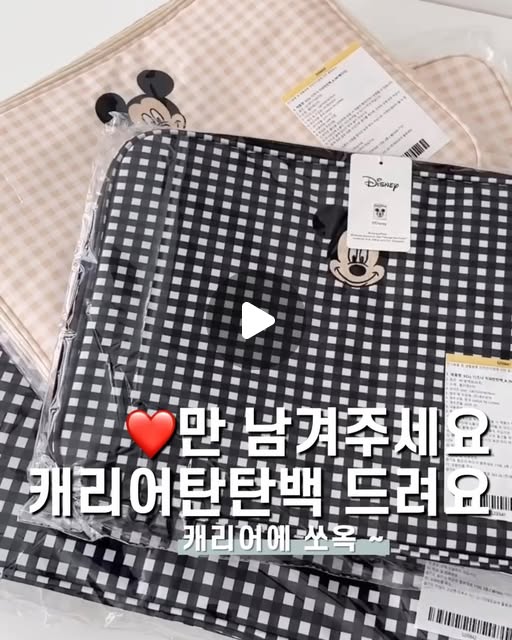 디즈니X에끌 콜라보 지퍼탄탄백