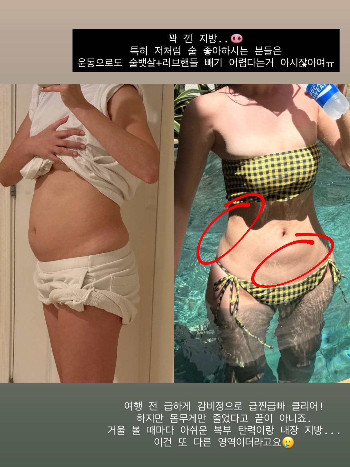 내장지방 분해 다이어트