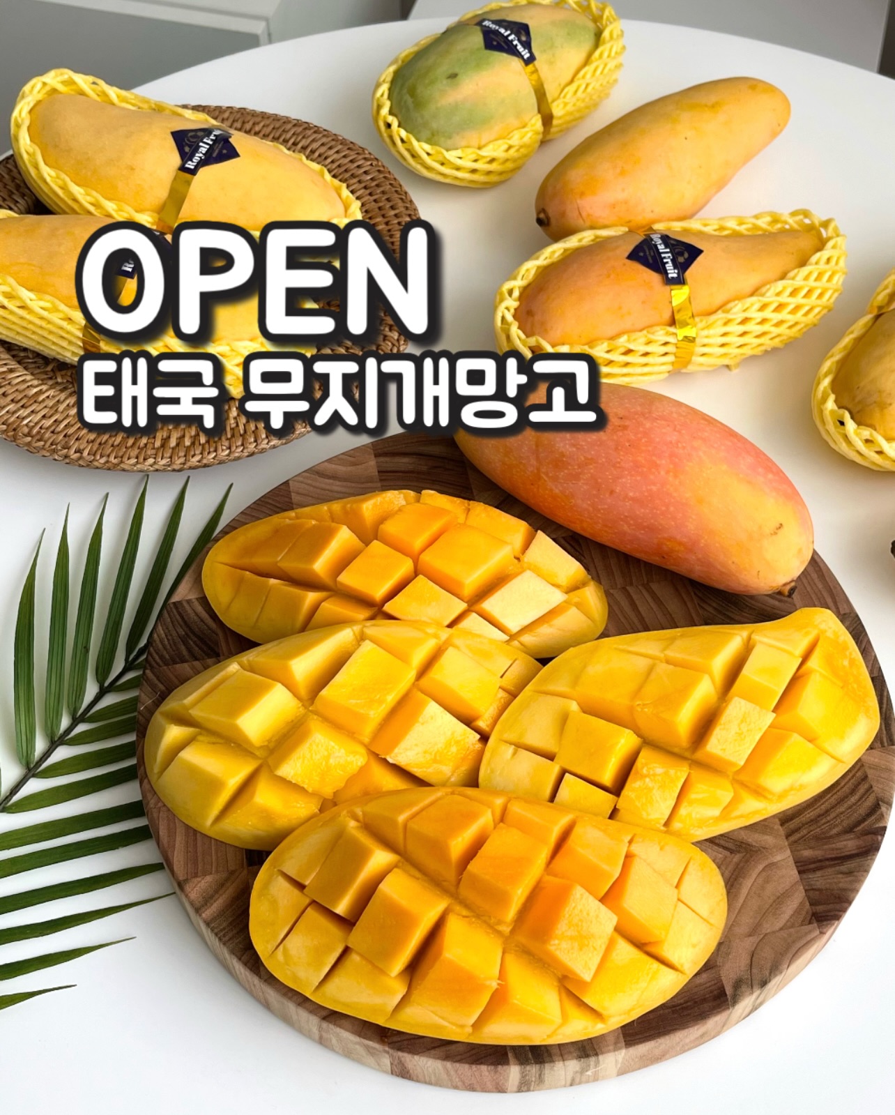 무지개망고